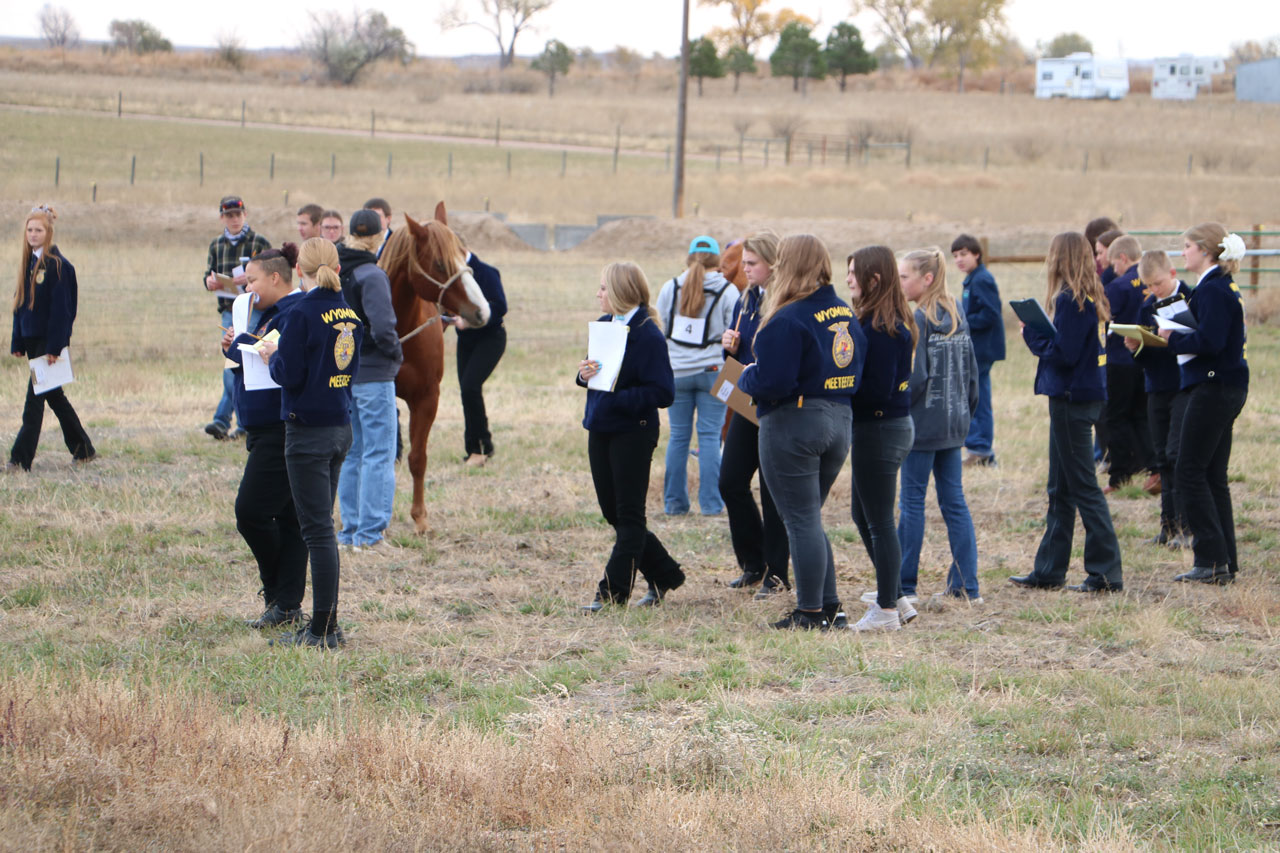 Students participating in horse judging and evaluation contest