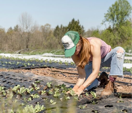 A woman wearing a green cap, sleeveless top, and ripped jeans kneels on the ground at an EWC event, planting seedlings in an outdoor field under a clear sky.